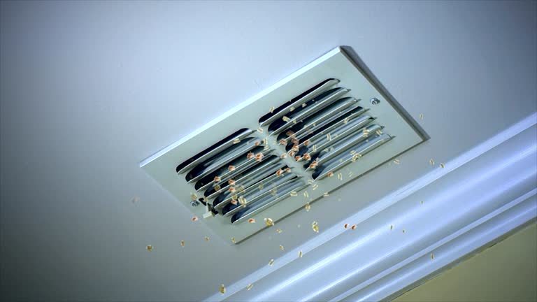  Wentworth, NC Airduct Cleaning Pros