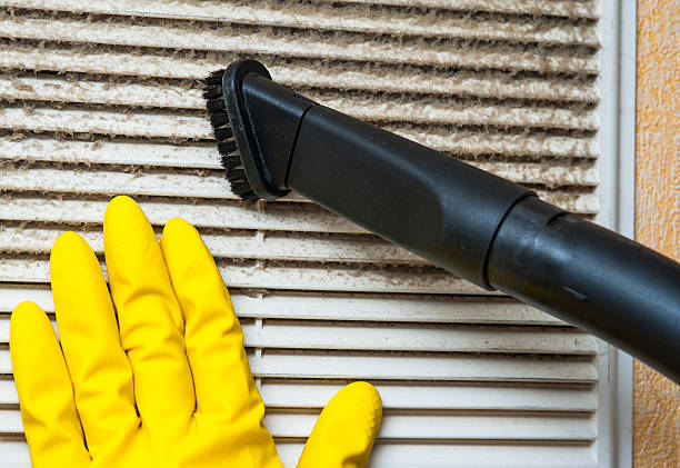 Best Air Duct Sanitizing Services  in Wentworth, NC